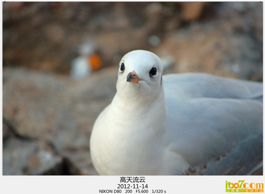 大坝转转 191_副本.jpg