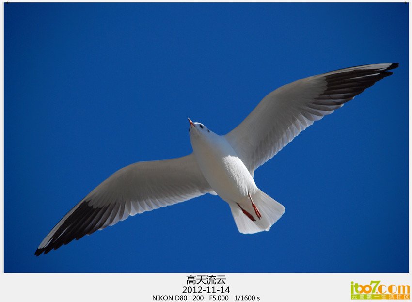 大坝转转 286_副本_副本.jpg