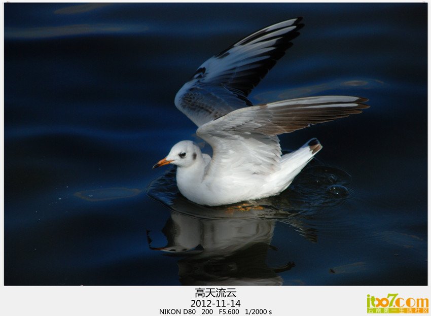 大坝转转 310_副本.jpg