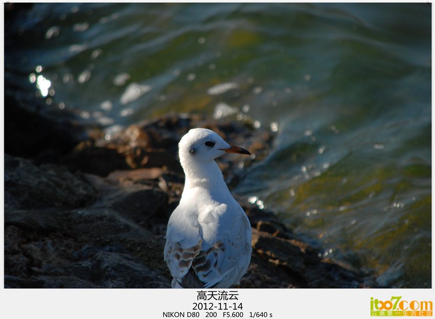 大坝转转 303_ 副本.jpg
