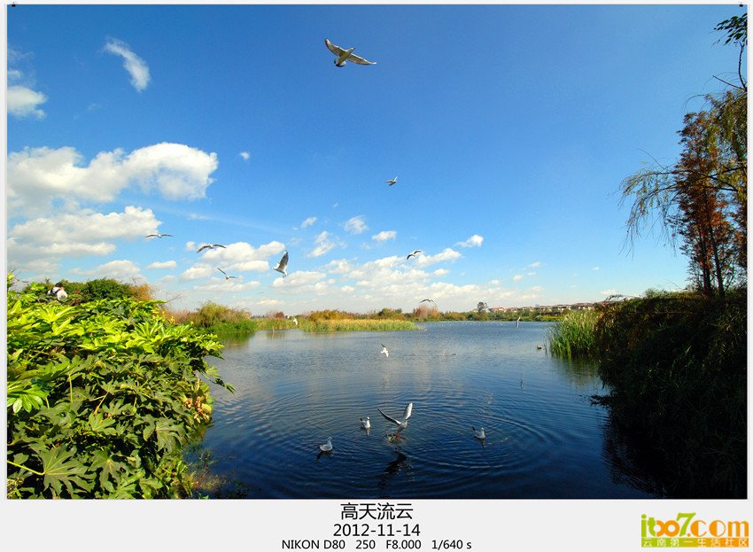 大坝转转 371_副本_副本.jpg