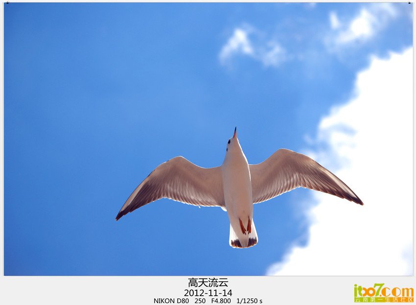大坝转转 604_副本.jpg