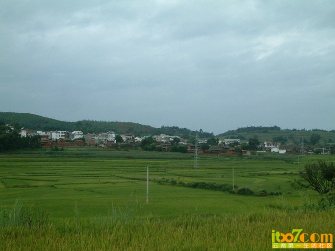 村子背后呢田地