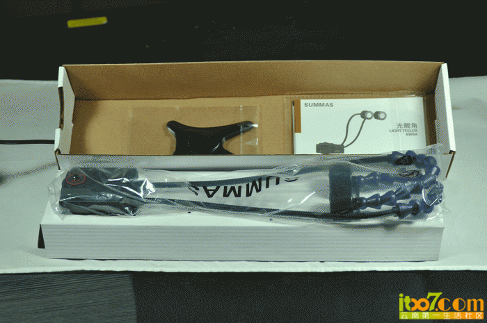 2.gif