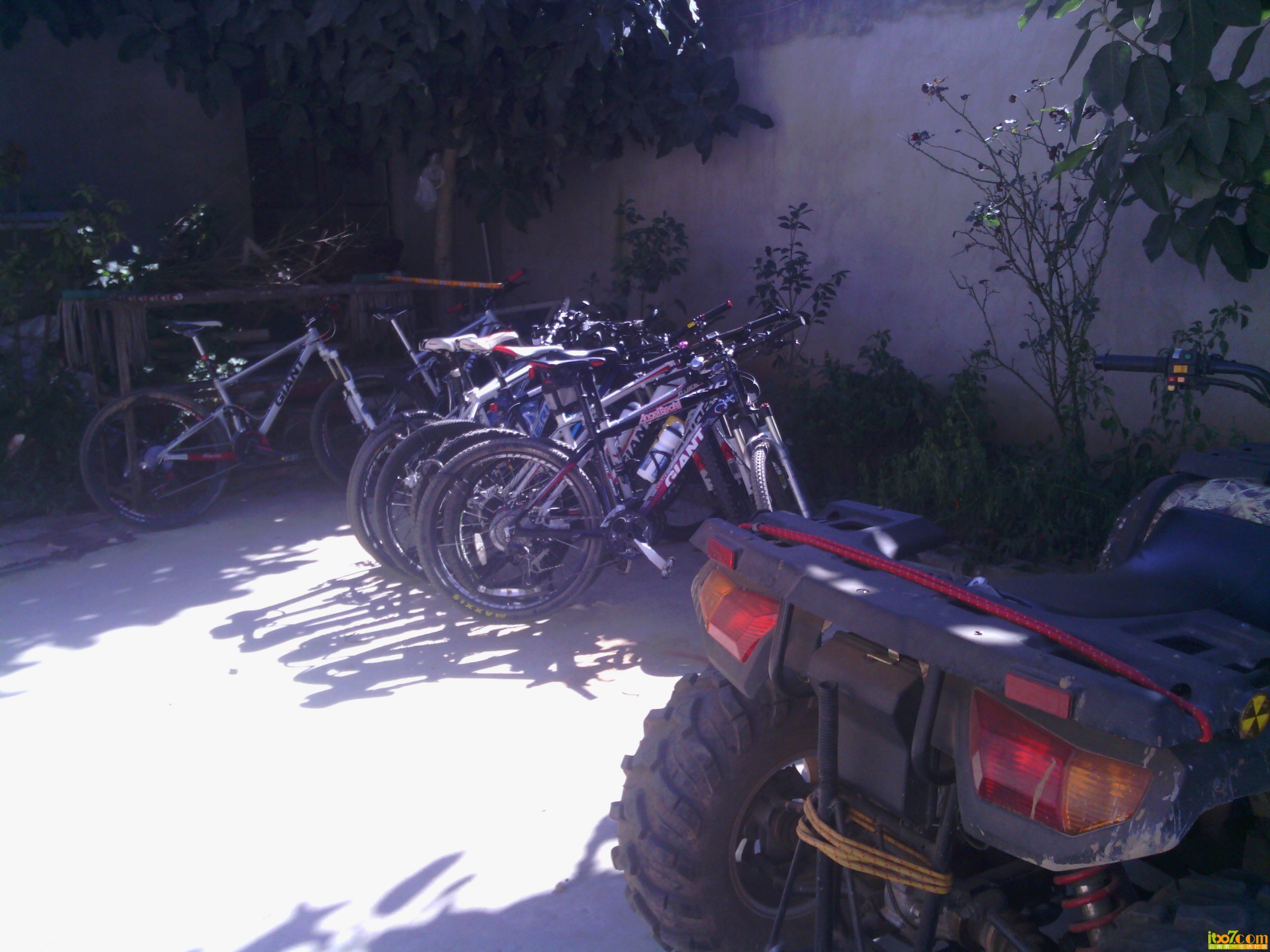 IMG_20121124_134356.jpg