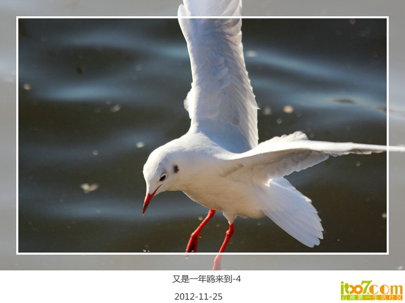 IMG_7322_副本.jpg