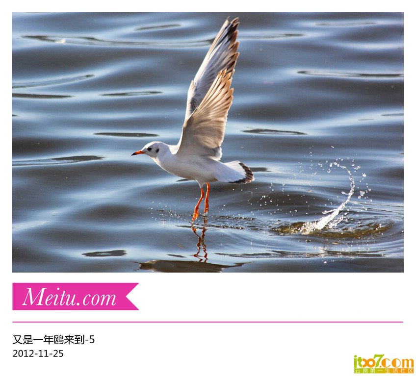 IMG_7327_副本.jpg