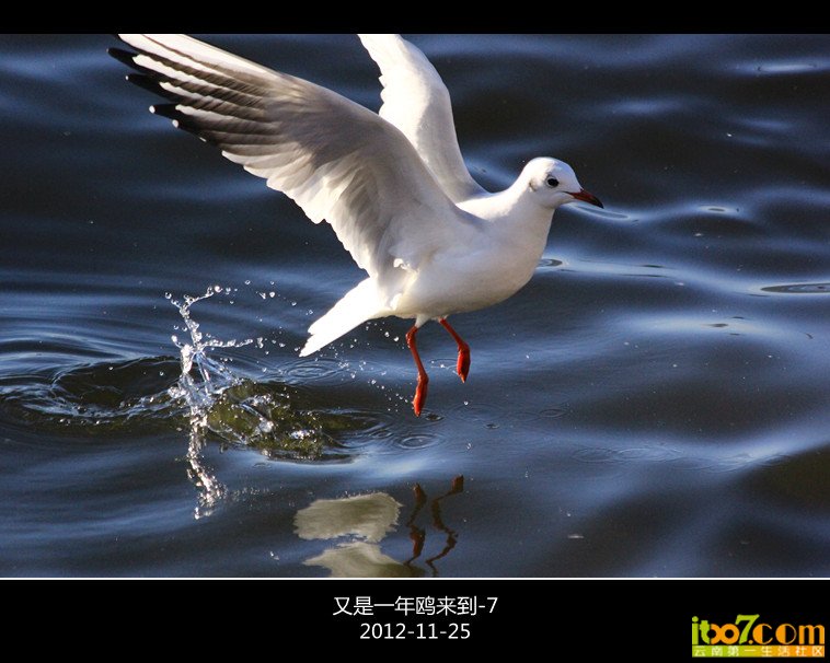 IMG_7441_副本.jpg