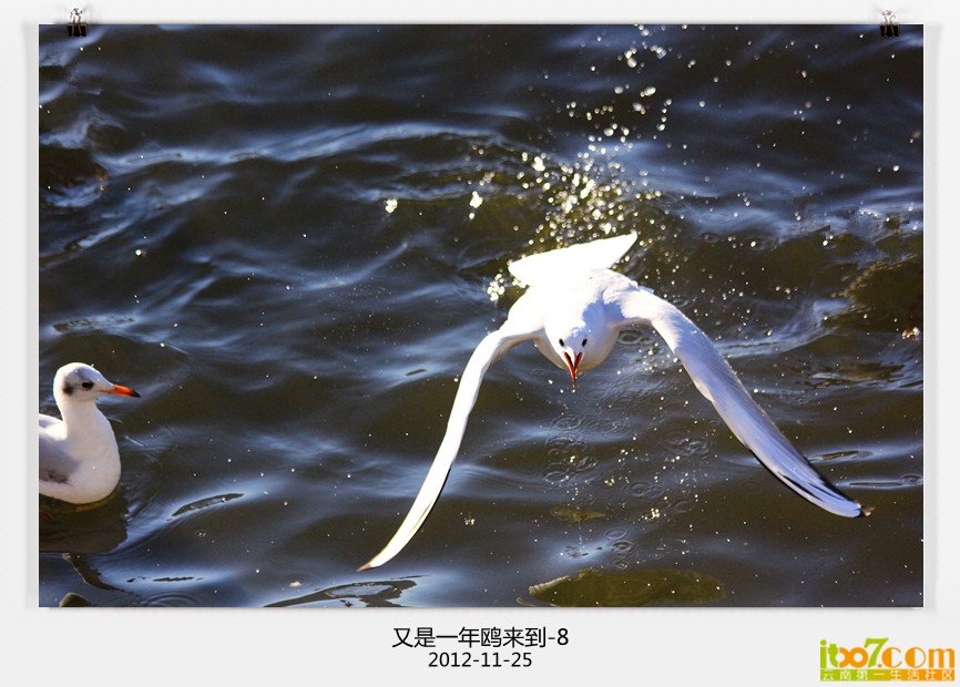 IMG_7452_副本.jpg