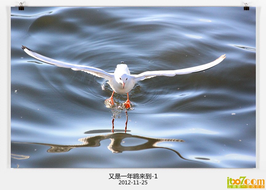 IMG_7563_副本.jpg
