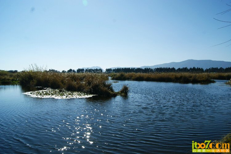 DSC03103.JPG