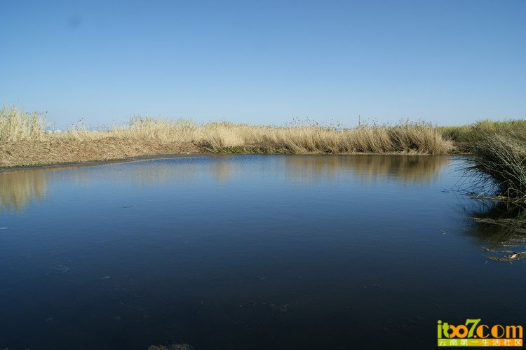 DSC03116.JPG