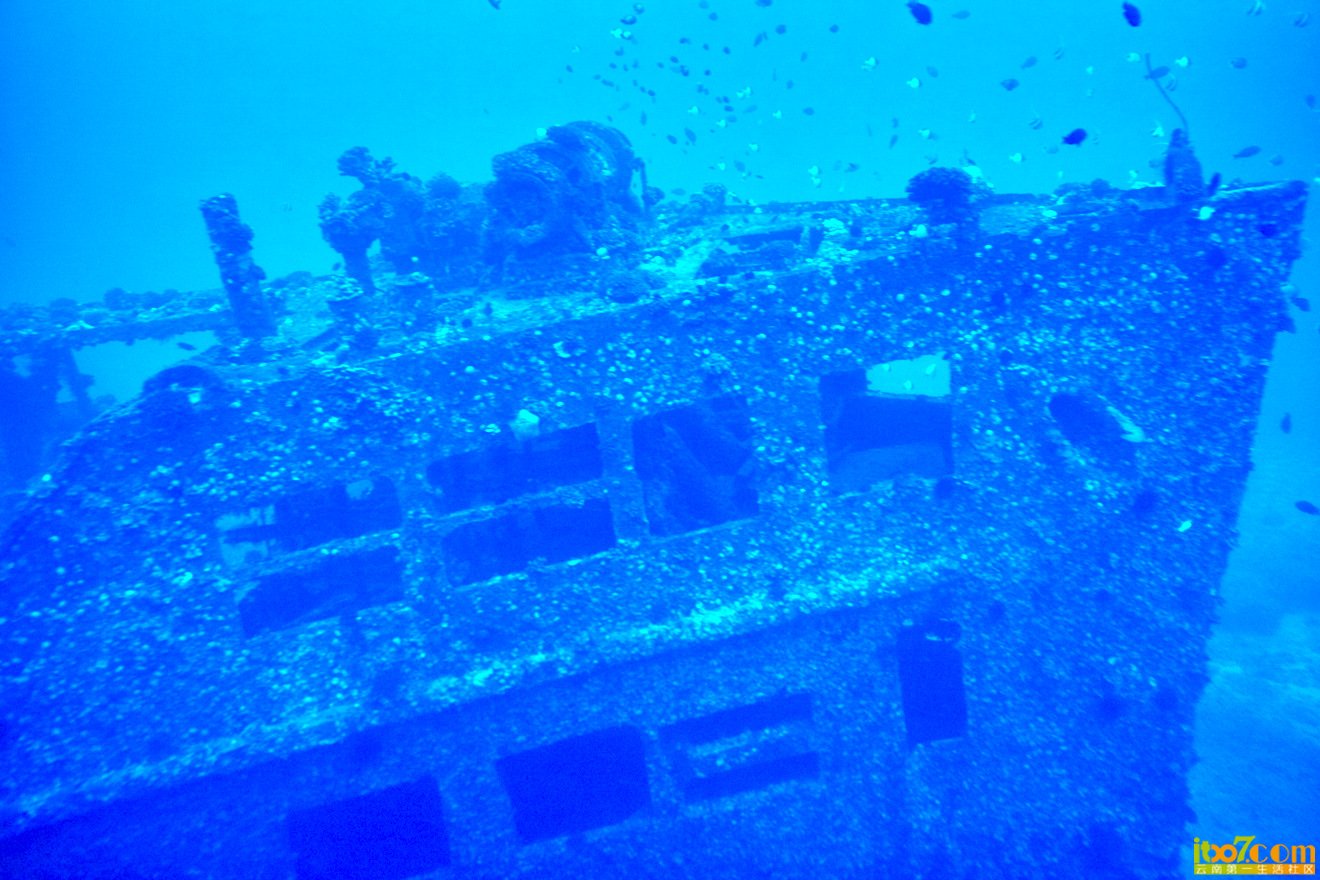 SDIM1255.jpg