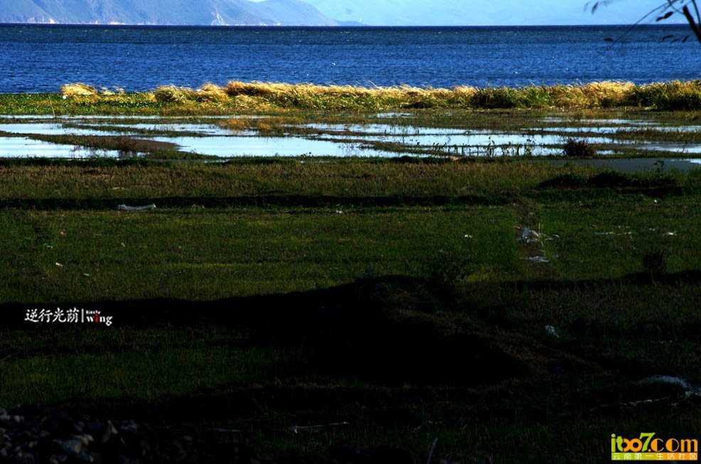 IMGP7314.jpg
