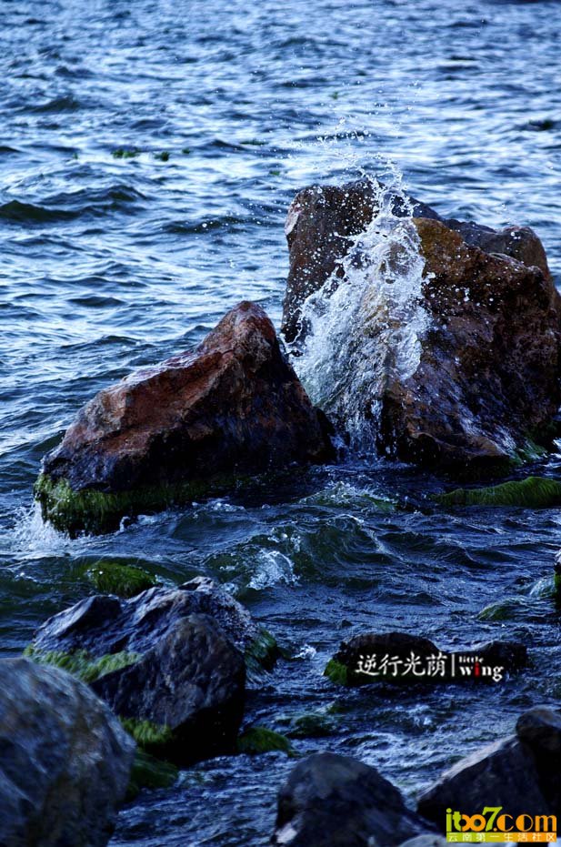 IMGP7385.jpg