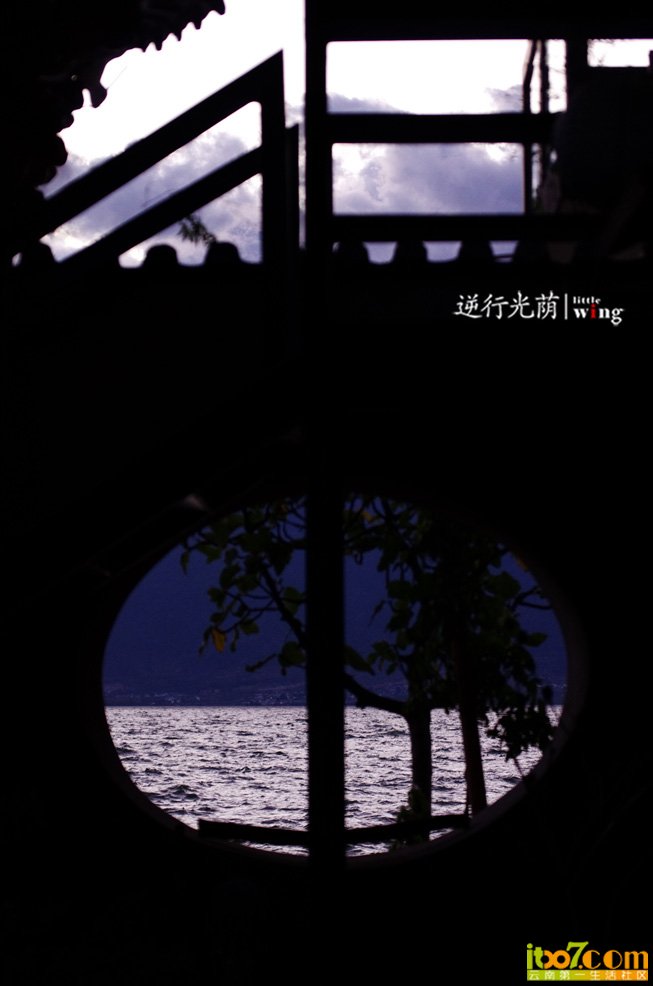 IMGP7461.jpg
