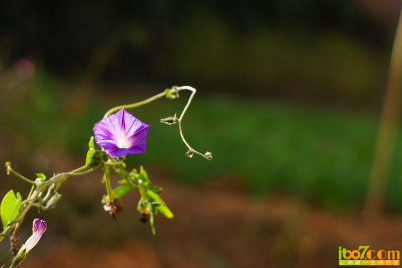 20121201 112_调整大小.JPG