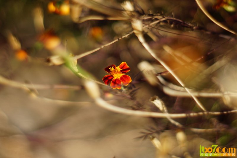 20121201 116_调整大小.JPG