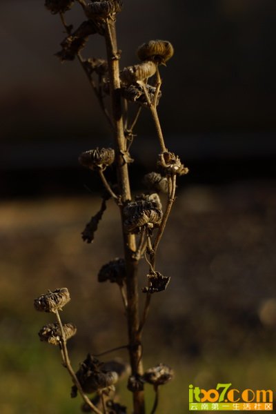 20121201 120_调整大小.JPG