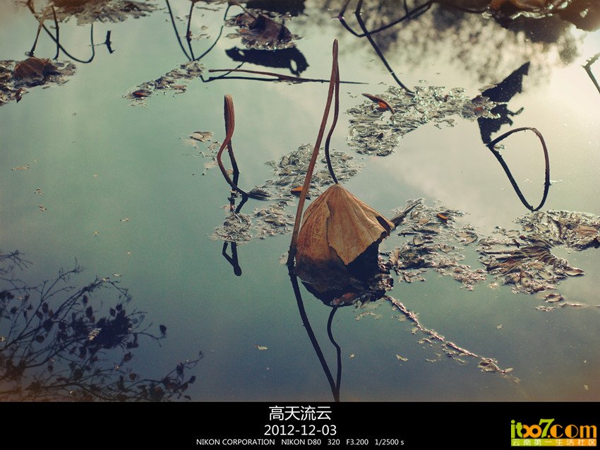 翠湖练手 102_副本_副本_副本.jpg