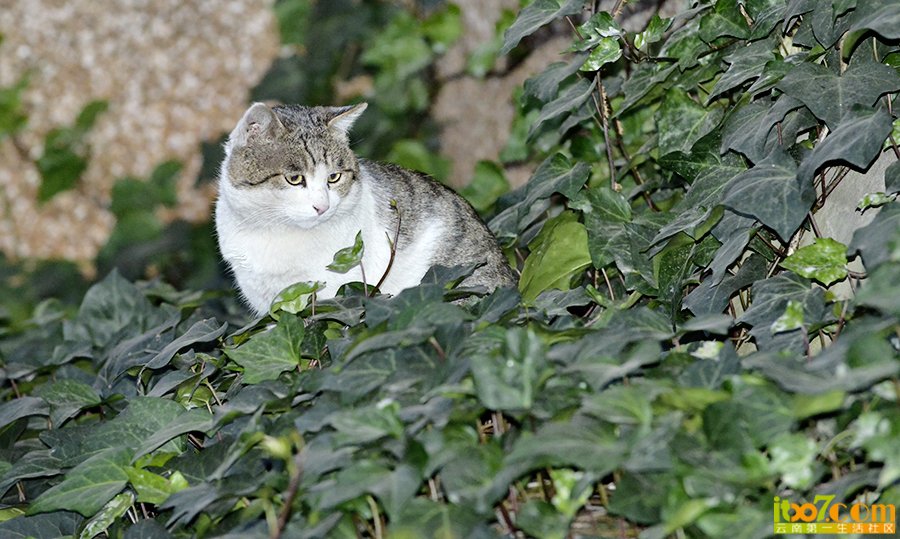 _DSC0478.jpg