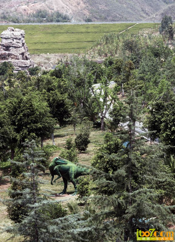 20120521_13271_e3ad1e31443e0c1bb257eGPXJXKxK6Ao.jpg