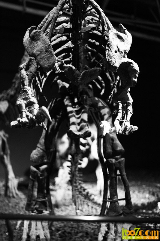 20120521_13271_f27d773fd8d064ff3decgMAYest1OElq.jpg