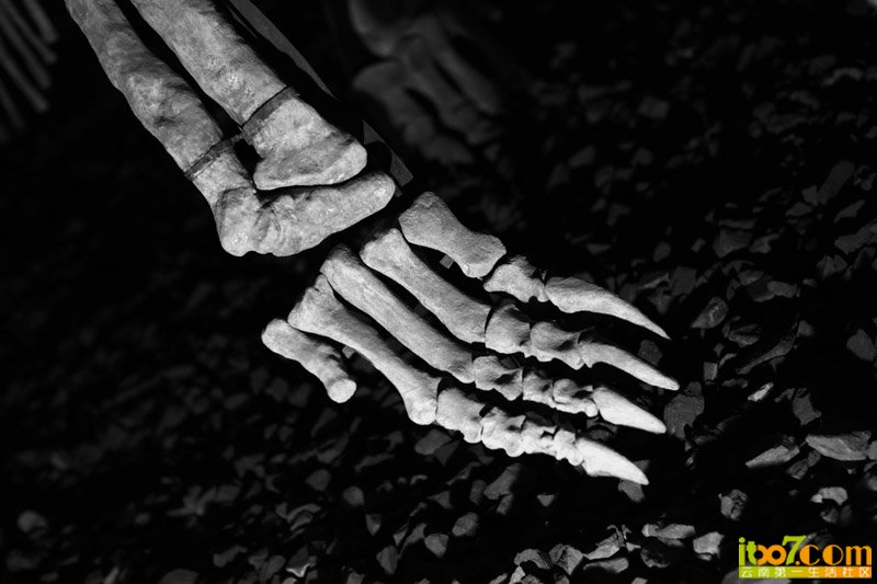 20120521_13271_5ebc40895ad3a0660eef5pWkHzRShO3z.jpg