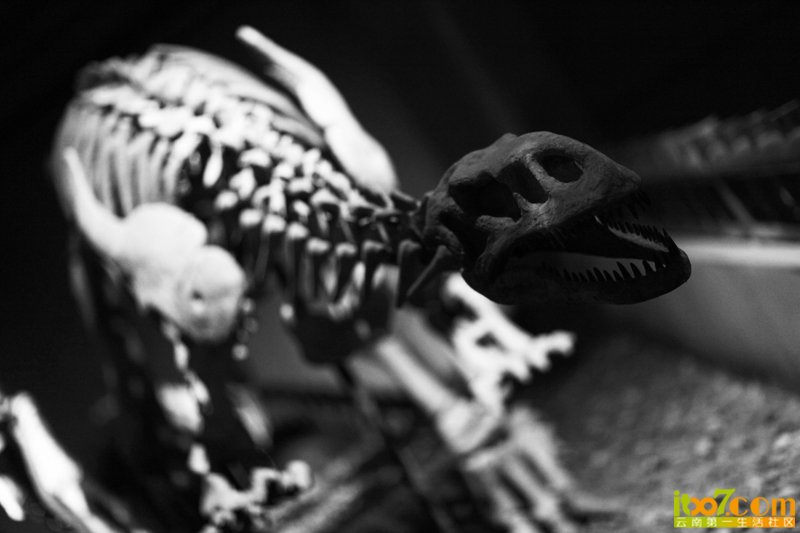 20120521_13271_2326eda034476db45b94wbxZ9mVeDgYz.jpg