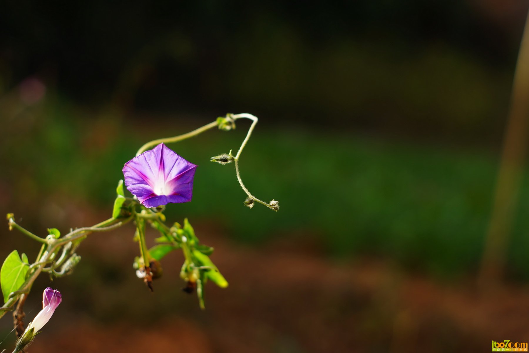 20121201 112_调整大小.jpg