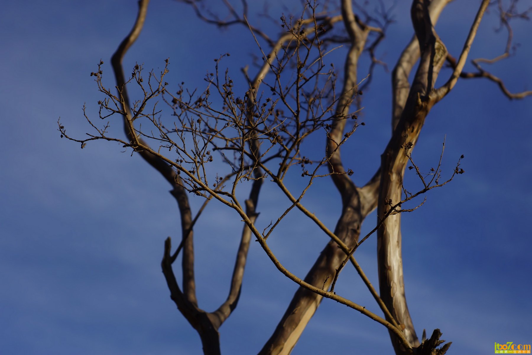 20121201 123_调整大小.jpg