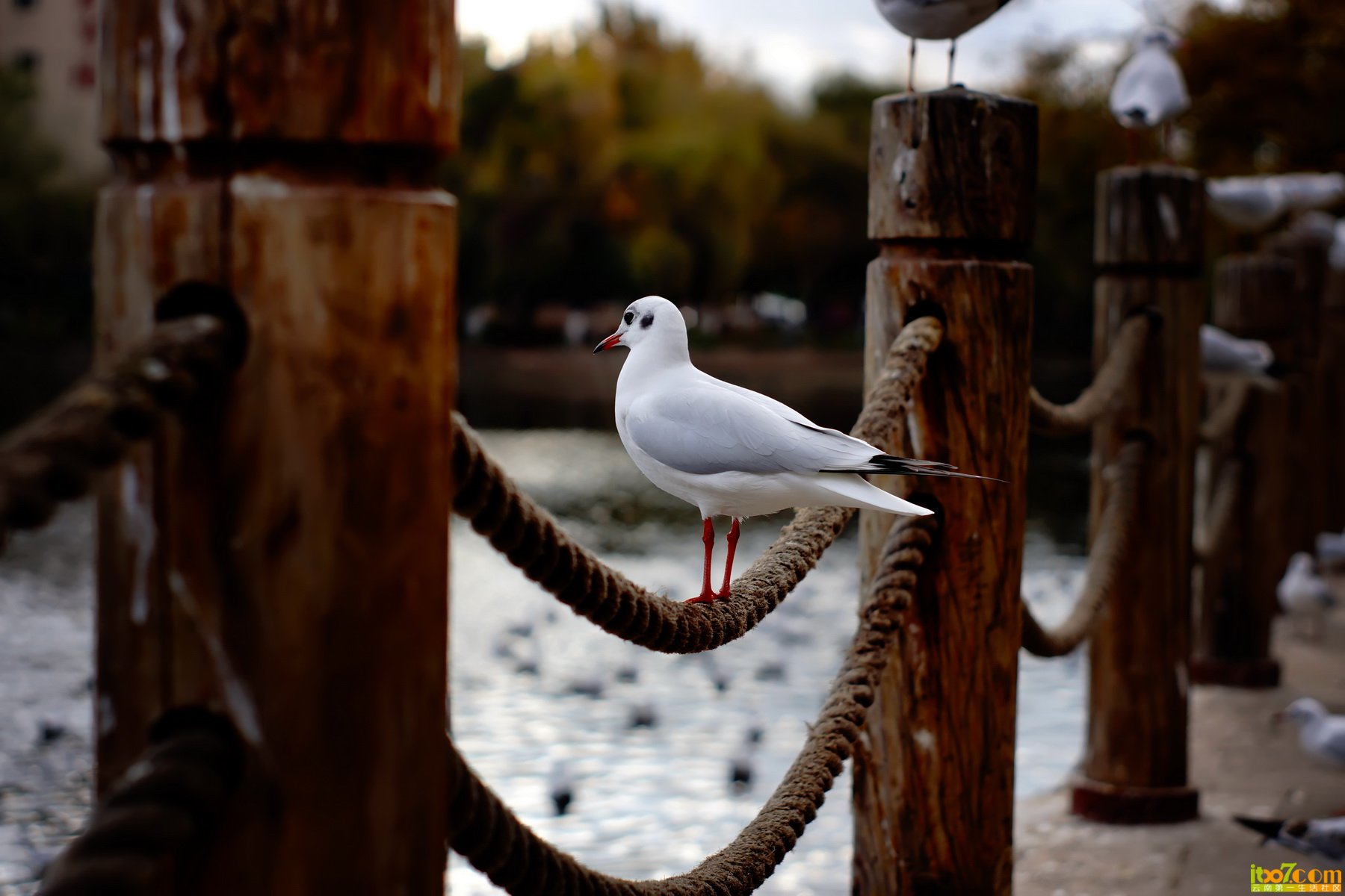 DSC07627_调整大小.JPG