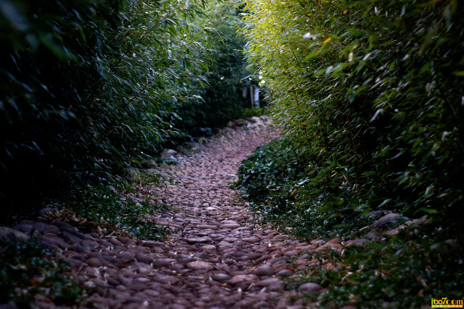 DSC07707_调整大小.jpg