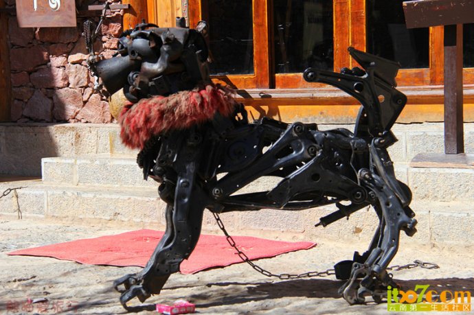 14.jpg