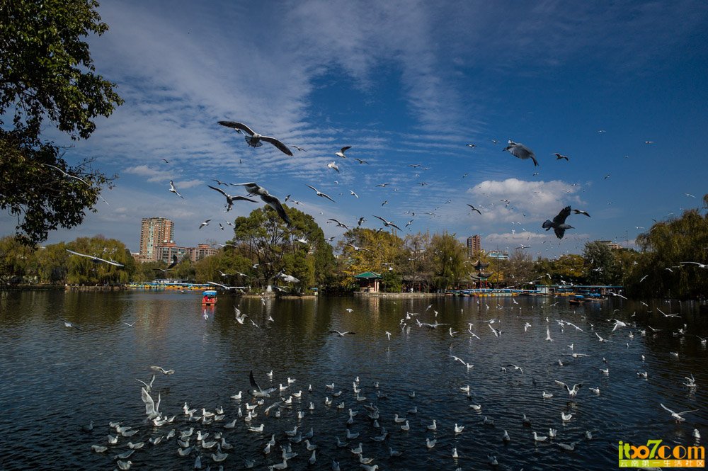 sun-1009007.jpg