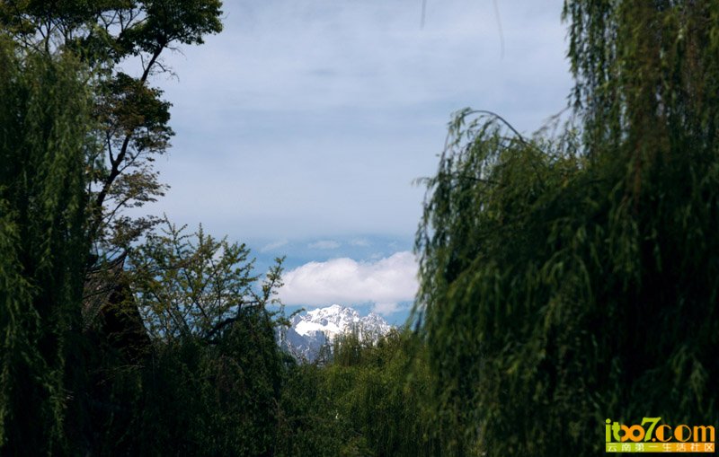 20120521_13271_e1f064d817da03c9e7f2Cujsal7bWimh.jpg