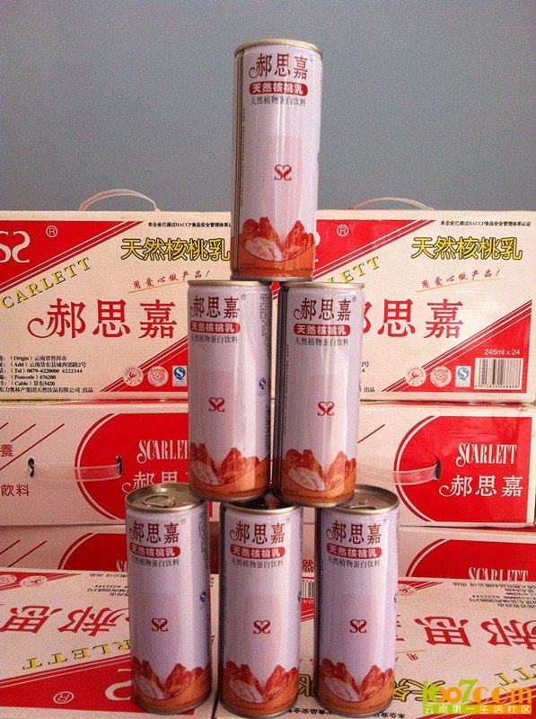 其他综合过年送礼就送郝思嘉核桃乳天然纯正老人小孩孕妇都可以食用