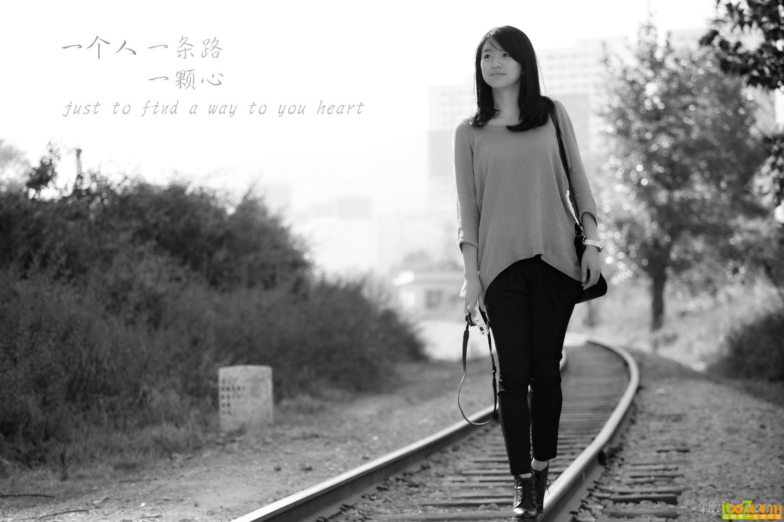 IMG_7926_meitu_6_meitu_8.jpg