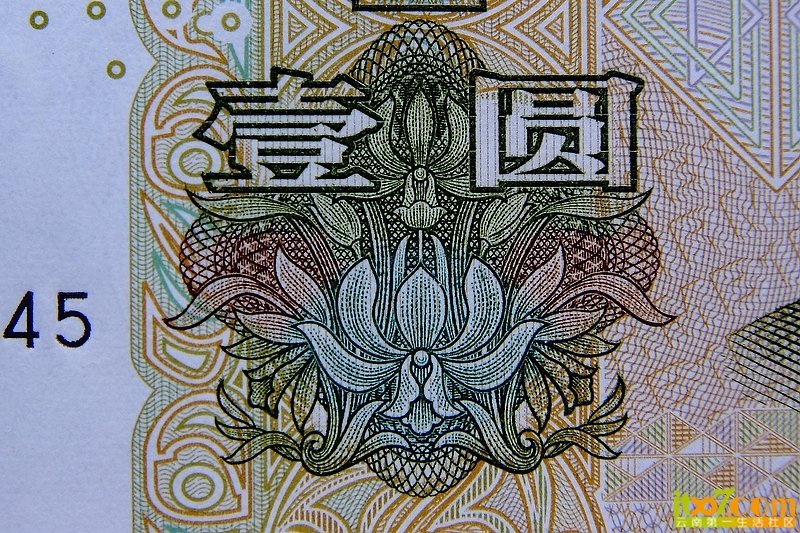 05.JPG