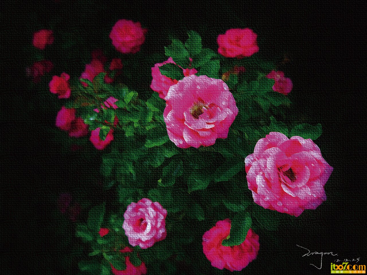 画花B.jpg