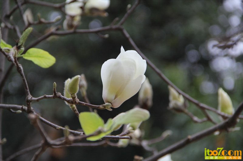 IMG_0198_调整大小_调整大小.JPG