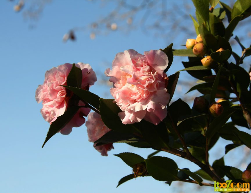 IMG_1664.jpg