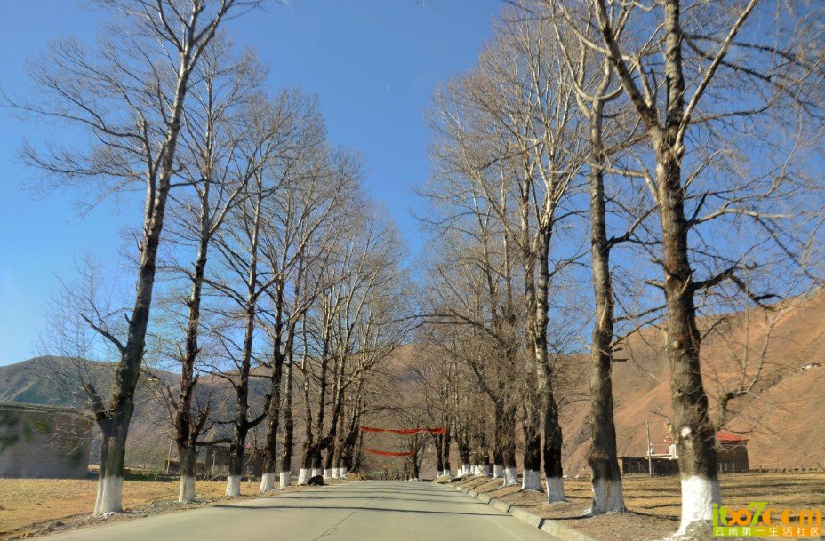 56.jpg