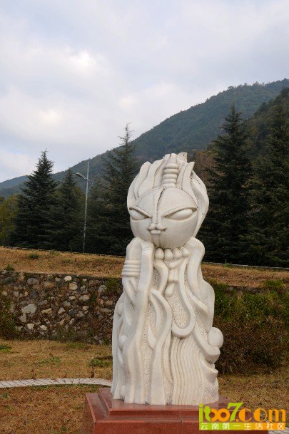 63.jpg
