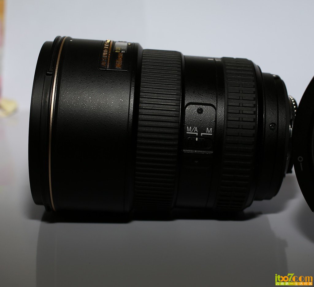 O80A1167.jpg