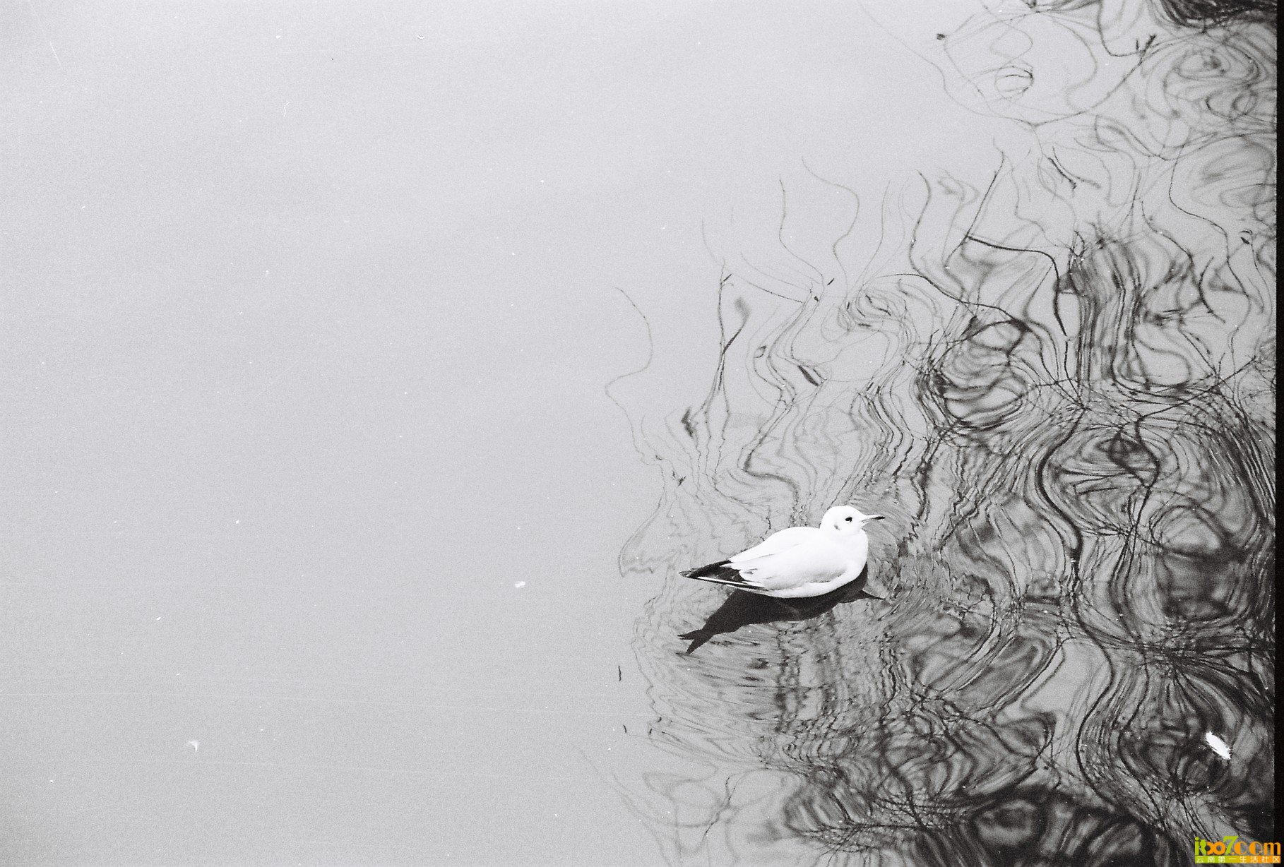 000052.JPG