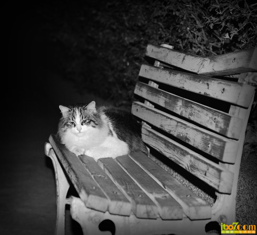 DSC_0267.jpg