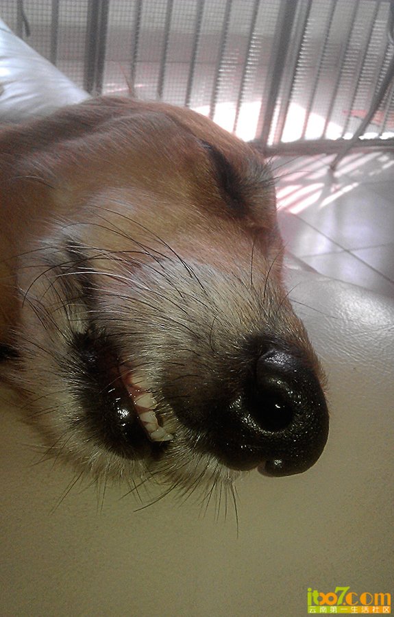 IMAG0385.jpg