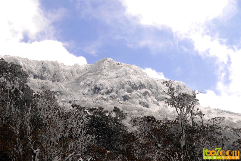 DSC_8498.jpg