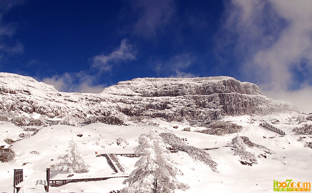 DSC_8703.jpg